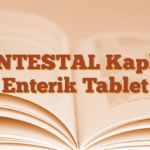 INTESTAL Kaplı Enterik Tablet